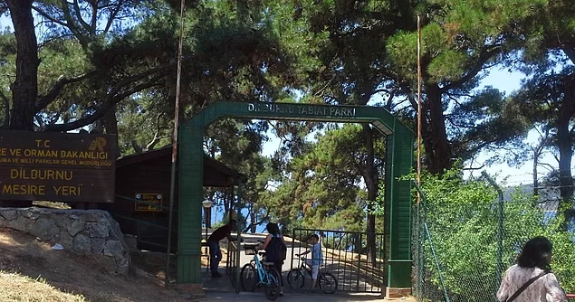 Dilburnu Tabiat Parkı'nda mangal yapın.